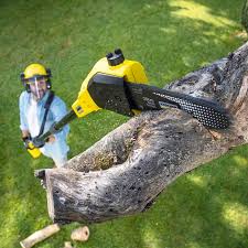 Grass Overseeding in Cape Carteret, NC